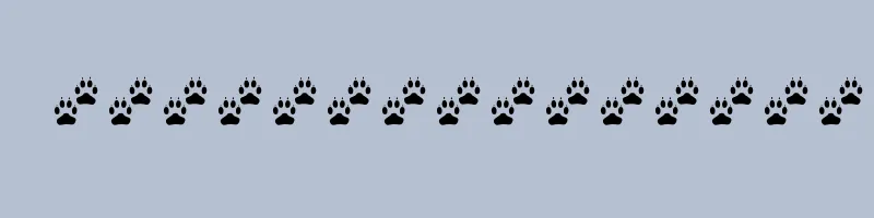 Preview of TRACKS
